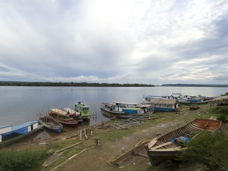 Count–Down<br> am Xingu IV Titlebild