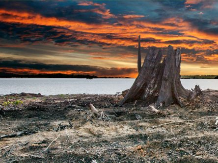 Count–Down<br> am Xingu V Titlebild