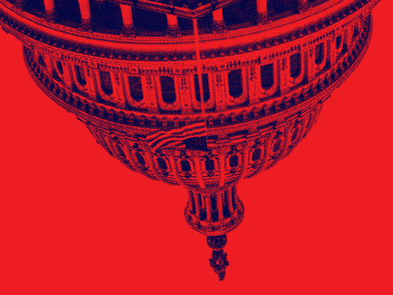Political Polarization and the US Midterms Titlebild